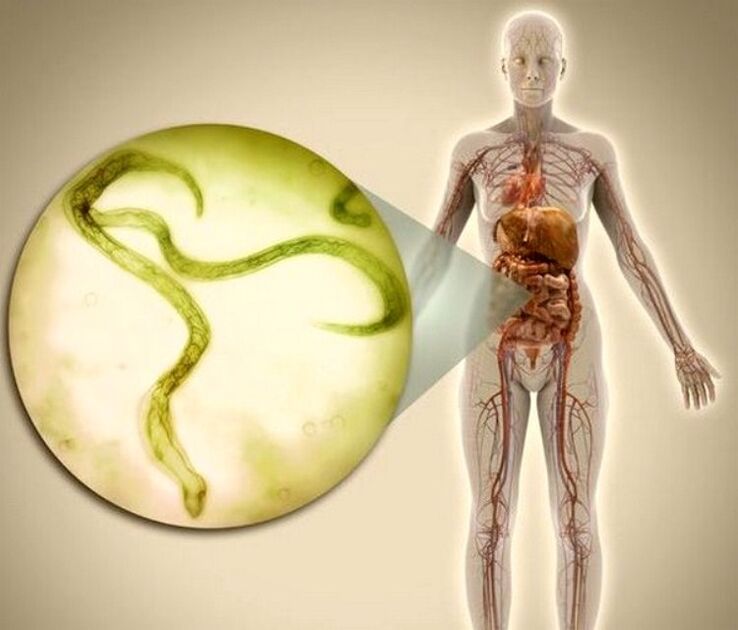 Parásitos en el cuerpo